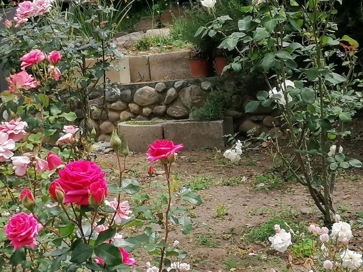Aanhuizen Guest House スウェレンダム エクステリア 写真